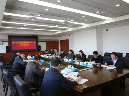 公司黨組理論學習中心組學習貫徹全國“兩會”精神