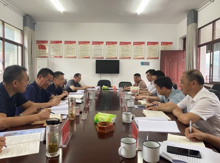 徐磊調研石門大興場村共繪鄉村振興新藍圖